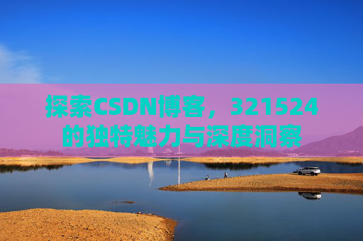 探索CSDN博客，321524的独特魅力与深度洞察